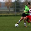 SpG Doberschuetz-Mockr-Laussig - Bornaer SV 04.11.2018  (7)